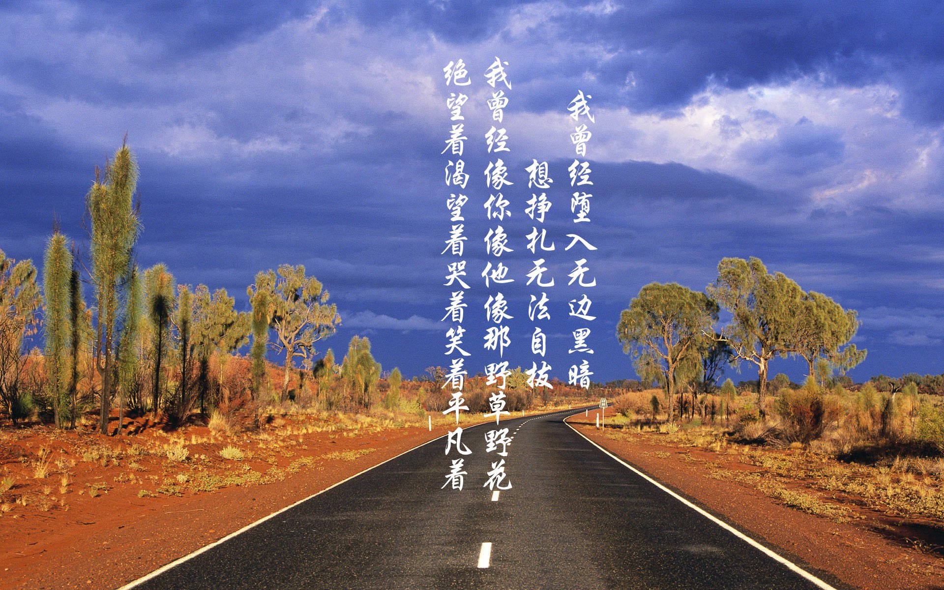 赛场“明星搭档”，最令人羡慕的合作关系，明星赛规则