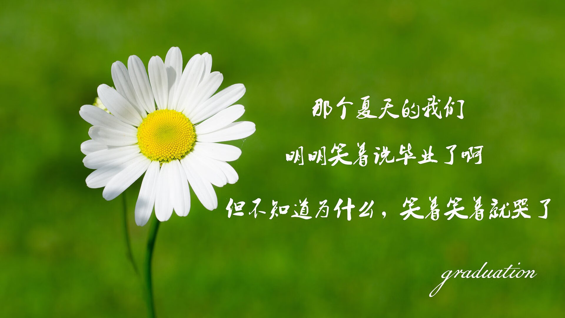 开云入口-巴萨迎来客场失利，厄瓜多尔中场发威，厄瓜多尔vs巴西直播