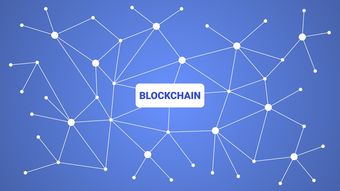 开云·体育官网APP下载-英超青训采用虚拟现实技术强化战术理解与应变能力，英超试训
