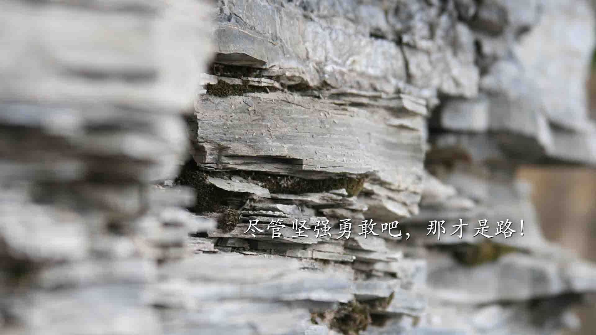 kaiyun网站-马尔代夫男篮在亚洲锦标赛中拼搏，迈向更高峰，马尔代夫男足最新情况